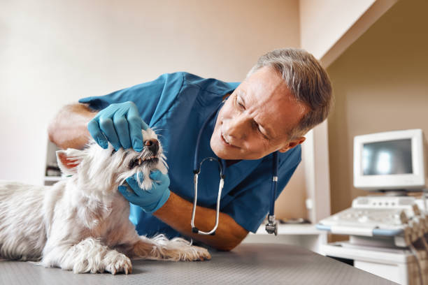 Best Same-Day Emergency Dental Services in Homerville, GA